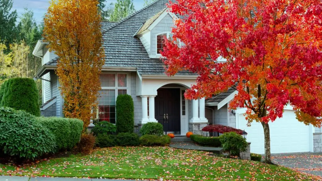 Révélation immobilière : la meilleure saison pour vendre son bien en Belgique ! 1 maison en automne, meilleure saison pour vendre