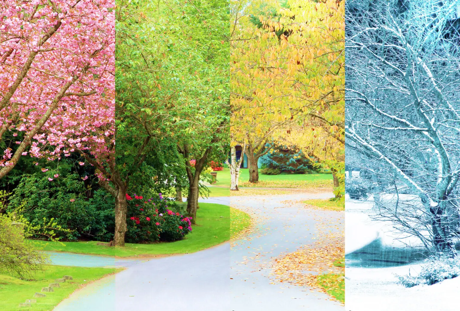 Un paysage illustrant les quatre saisons