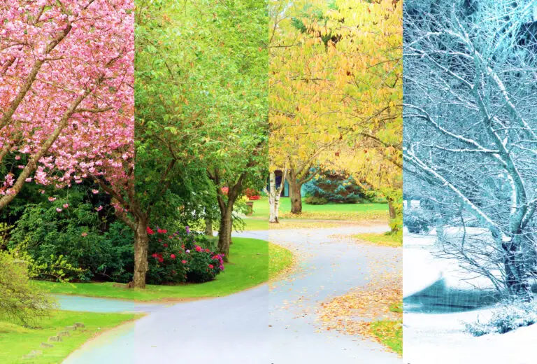 Un paysage illustrant les quatre saisons