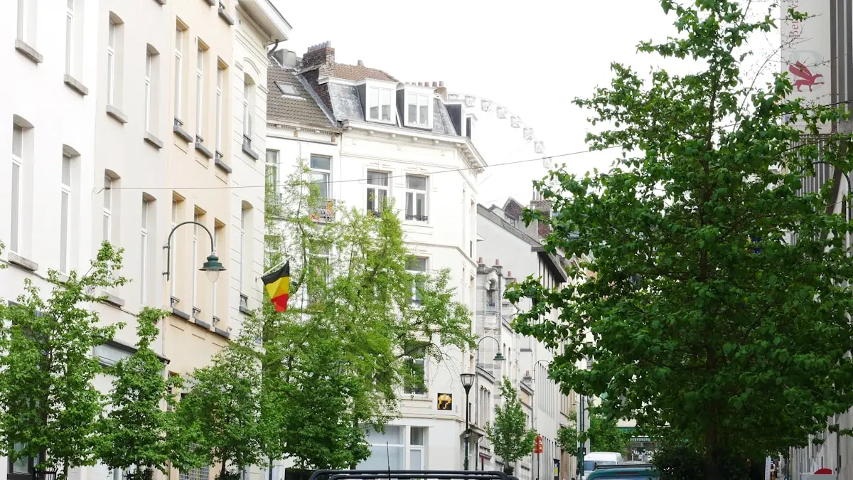 Vue de rue à Bruxelles avec drapeau belge