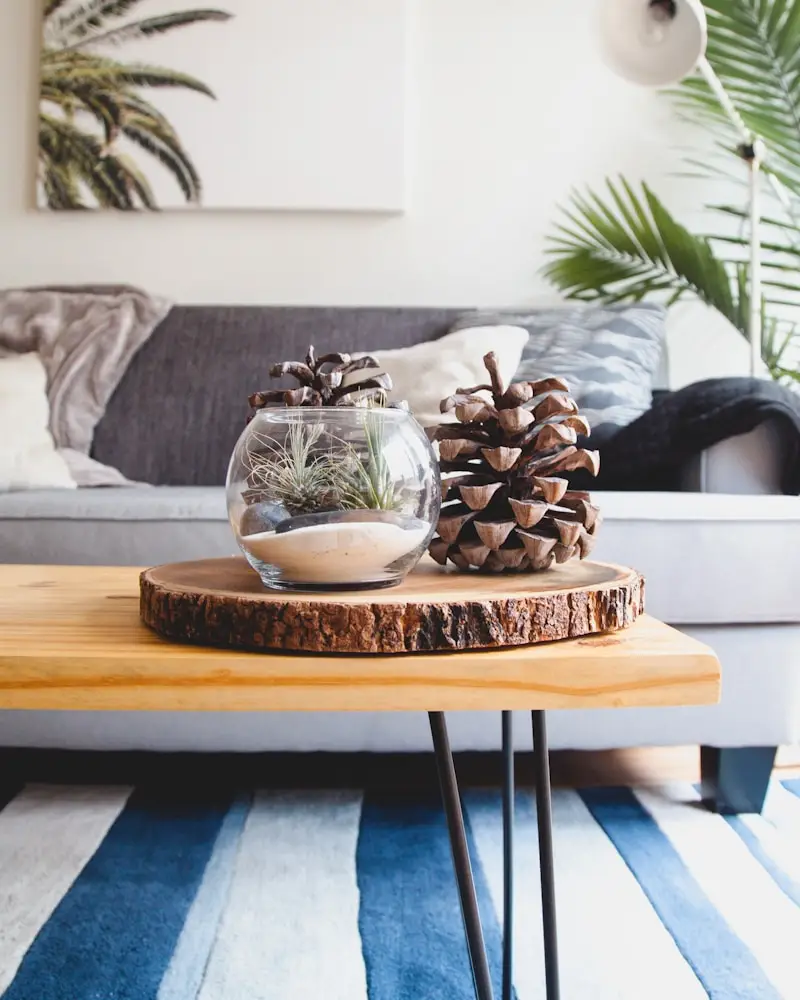 terrarium-moderne