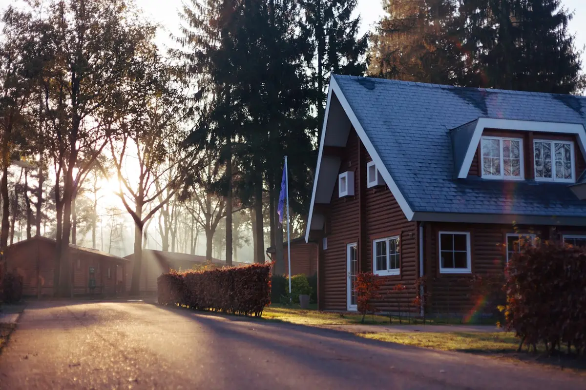 Maison en bois entourée d'arbres et de lumière naturelle