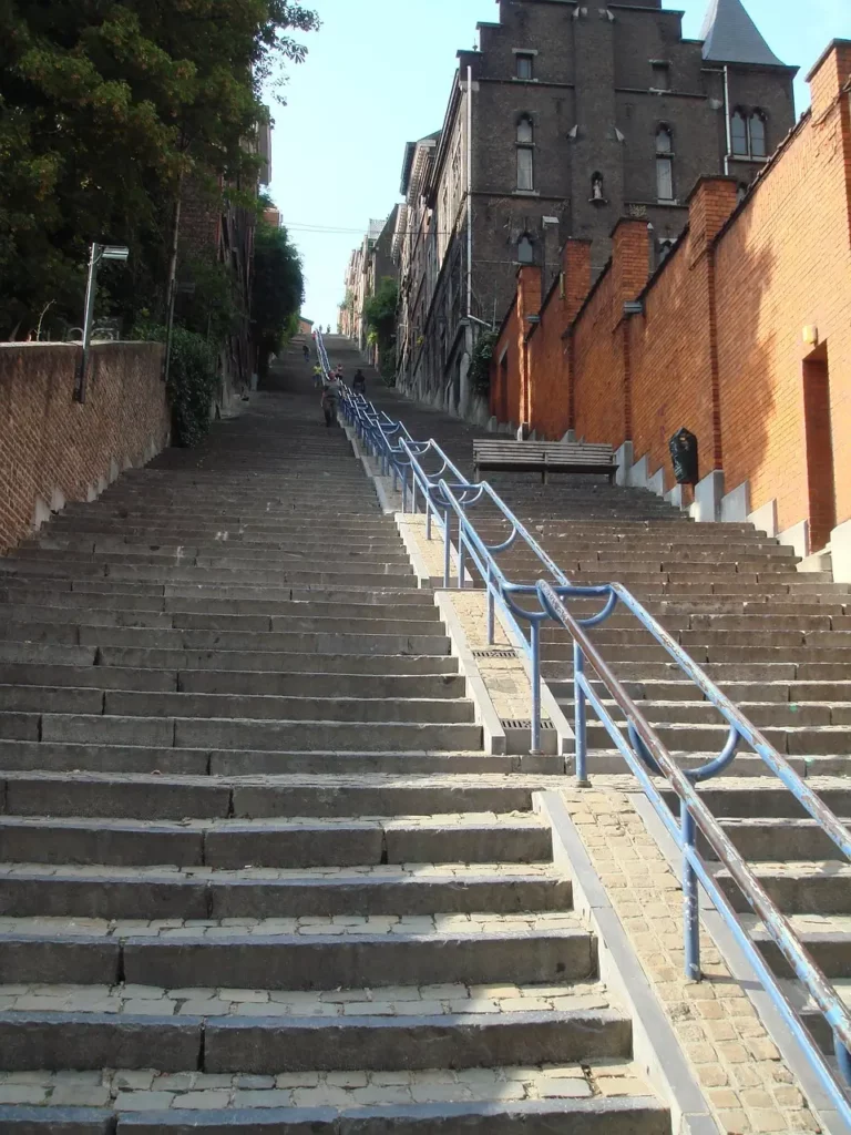 Escaliers en pierre avec rampes à main