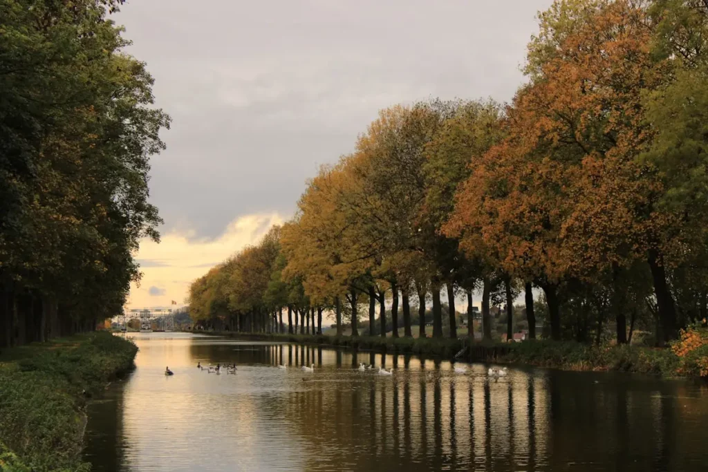 paysage automnal avec des arbres et un canal