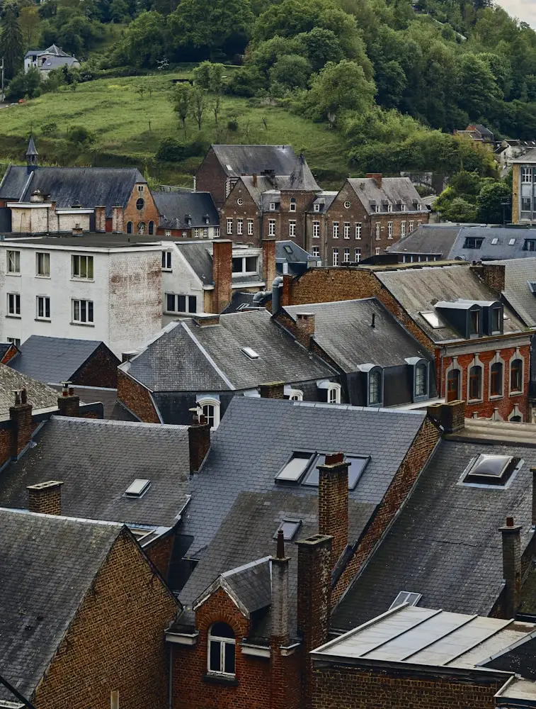 Toits de maisons avec verdure en arrière-plan